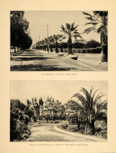 1906 Print Brookside Avenue Smiley Heights Mansion Redlands CA Historic Images