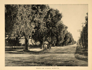 1906 Print White Oak Avenue Monrovia California City Horse Buggy Historic Image