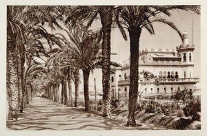 1928 Paseo de los Martires Street Palms Alicante Spain - ORIGINAL SP2