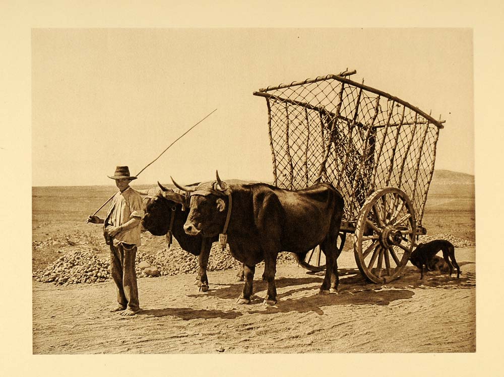 1925 Straw Cart Farmer Peasant Ox Road Spain Hielscher - ORIGINAL SP3
