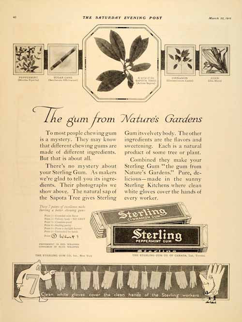 1916 Ad Sterling Gum Nature's Garden Sugar Cane Sapota - ORIGINAL SP4
