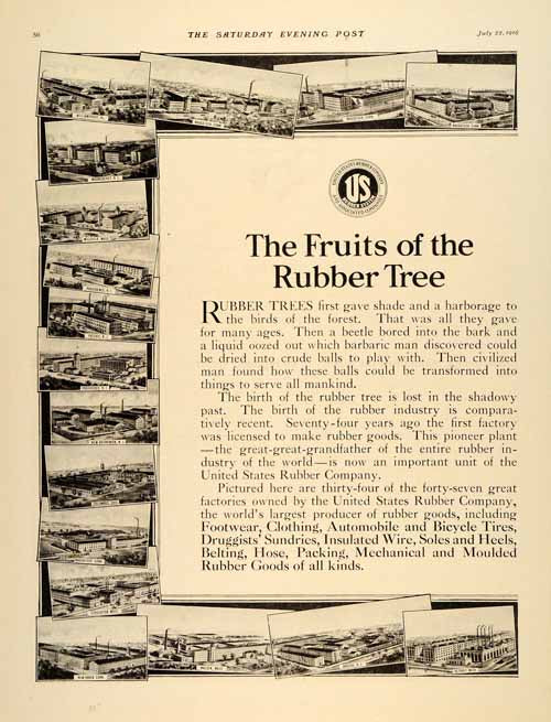 where was the original rubber trees from 1916 Ad Rubber Tree Products Bristol Rhode Island WWI