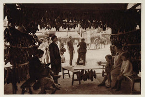 1928 Zapateria Boot Shoe Shop Barcelona Photogravure - ORIGINAL SPAIN3