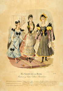 1894 Victorian Ladies Women Fashion Costume Lithograph - ORIGINAL SPF1