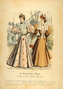 1895 Victorian Lady Fashion Dress Coat Hat Lithograph