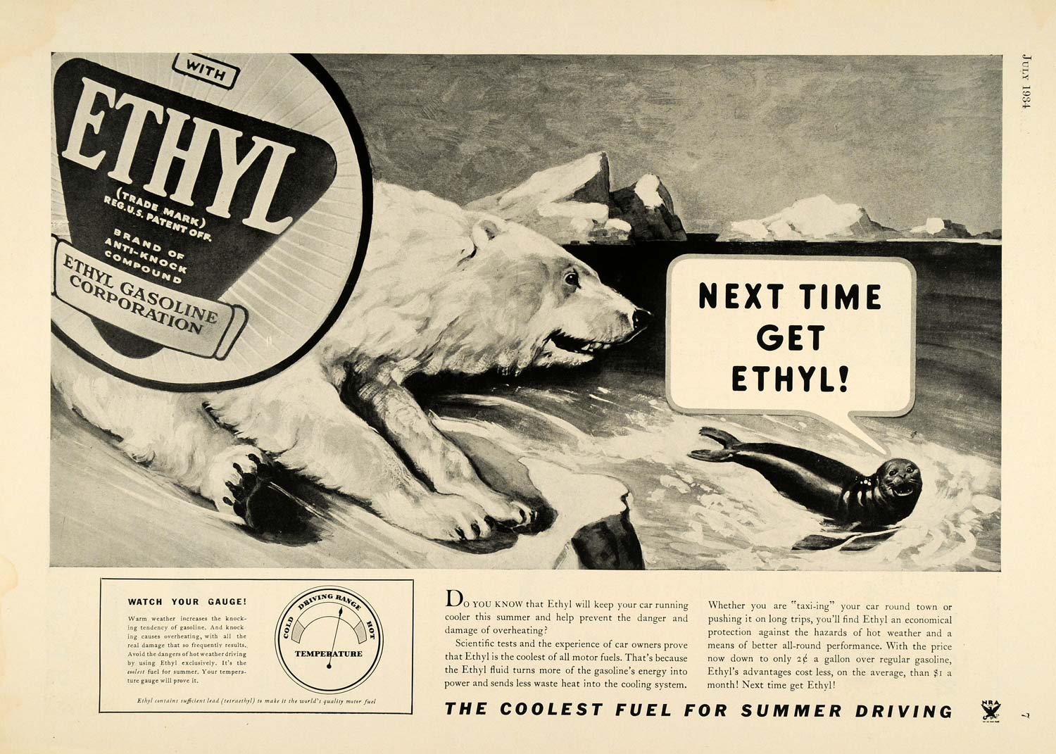 1934 Ad Ethyl Gasoline Motor Fuel Polar Bear Fur Seal - ORIGINAL SPM1