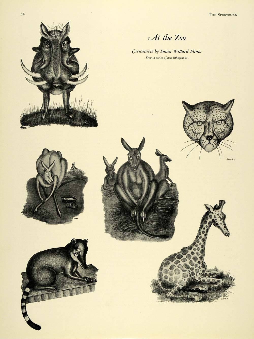 1932 Print Zoo Animal Caricatures Susan Willard Flint - ORIGINAL HISTORIC SPM1