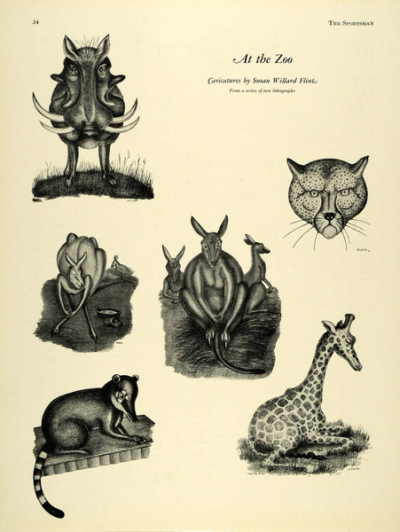 1932 Print Zoo Animal Caricatures Susan Willard Flint - ORIGINAL