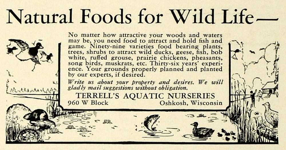 1932 Ad Terrell's Aquatic Nursery Plant Foods Animals - ORIGINAL SPM1