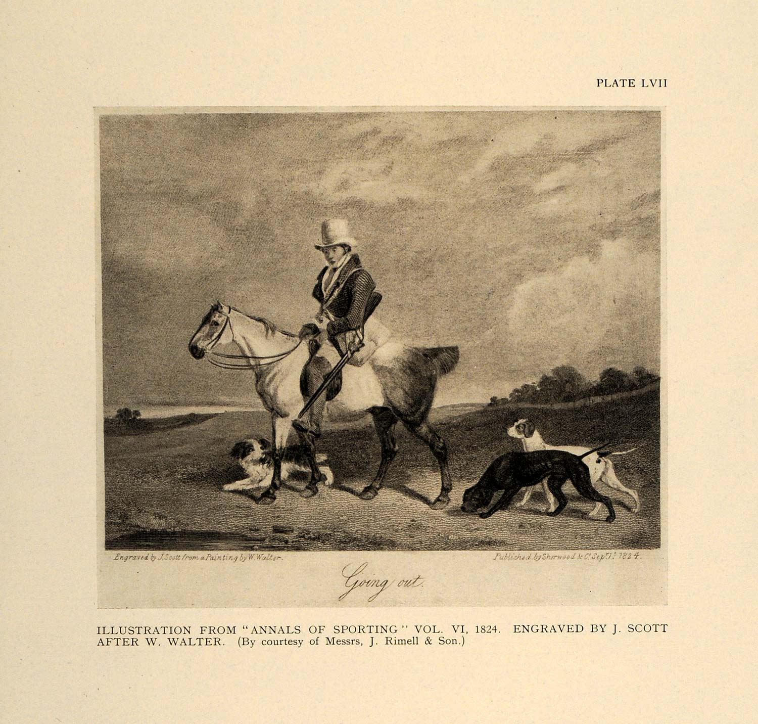 1924 English Hunter Horse Hound W. Walter Antique Print ORIGINAL HISTORIC SPT1