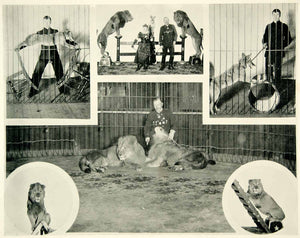 1894 Print California Midwinter Worlds Fair Boone's Wild Animal Arena Lion SSC1
