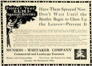 1911 Ad Munson-Whitaker Landscape Foresters Elm Trees - ORIGINAL SUB1