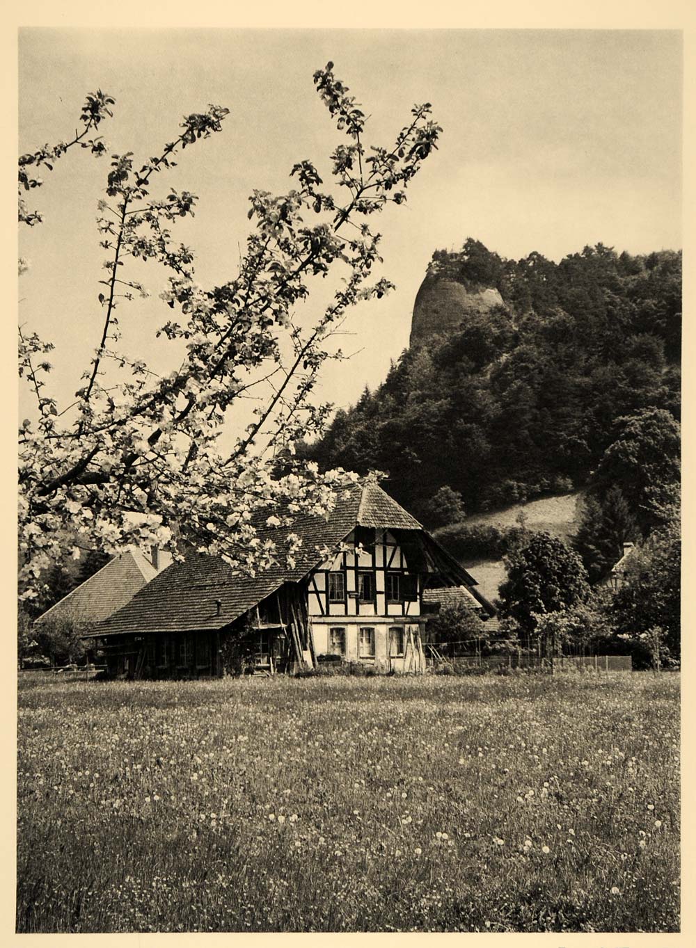 1938 Emmental Emmenthal Valley Farmhouse Switzerland - ORIGINAL PHOTOGRAVURE SZ1