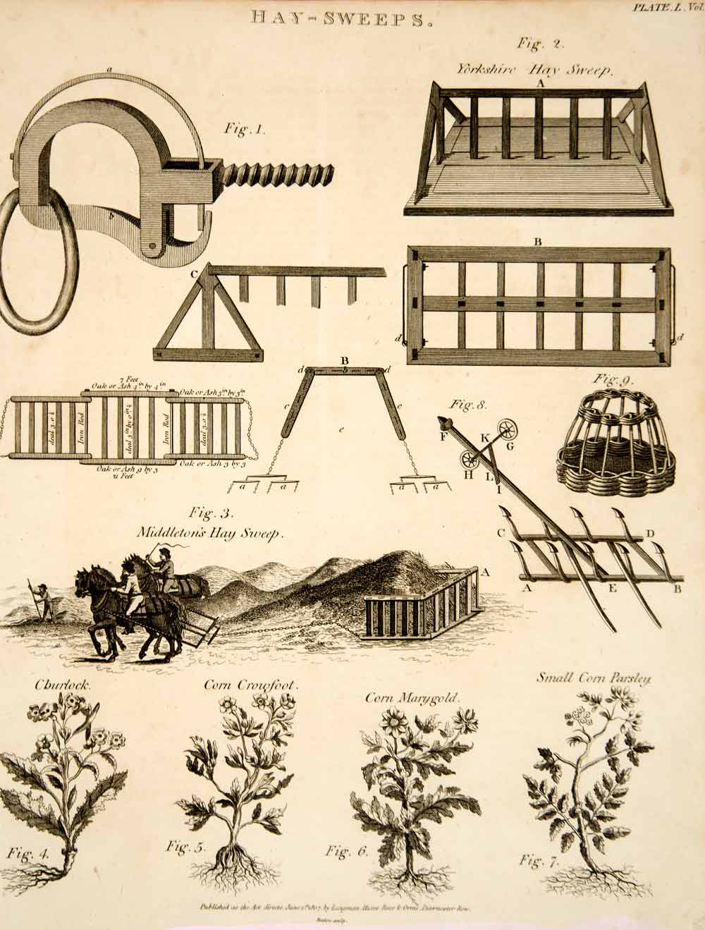 1807 Copper Engraving Yorkshire Middleton's Hay-Sweep Farm Tool Agriculture TCF1