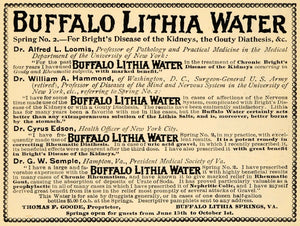1895 Ad Buffalo Lithia Springs Drinking Water Medicinal - ORIGINAL TFO1