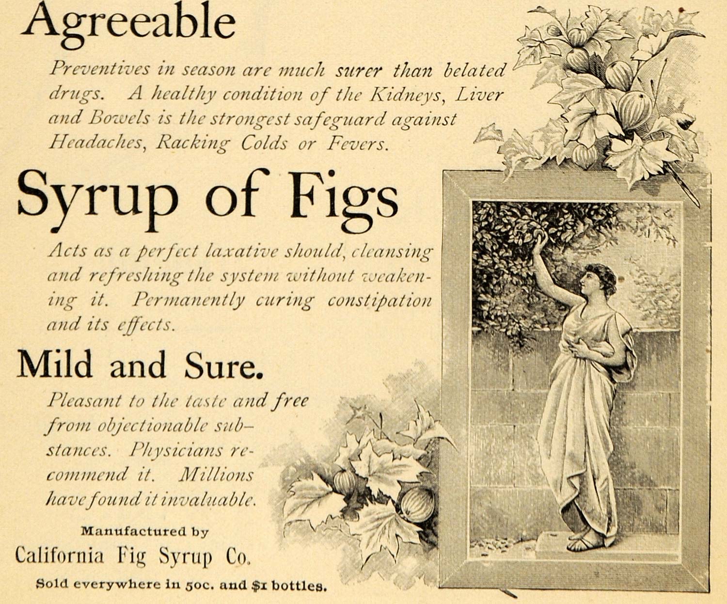 1895 Ad Safeguard Fevers California Fig Syrup Company - ORIGINAL TFO1