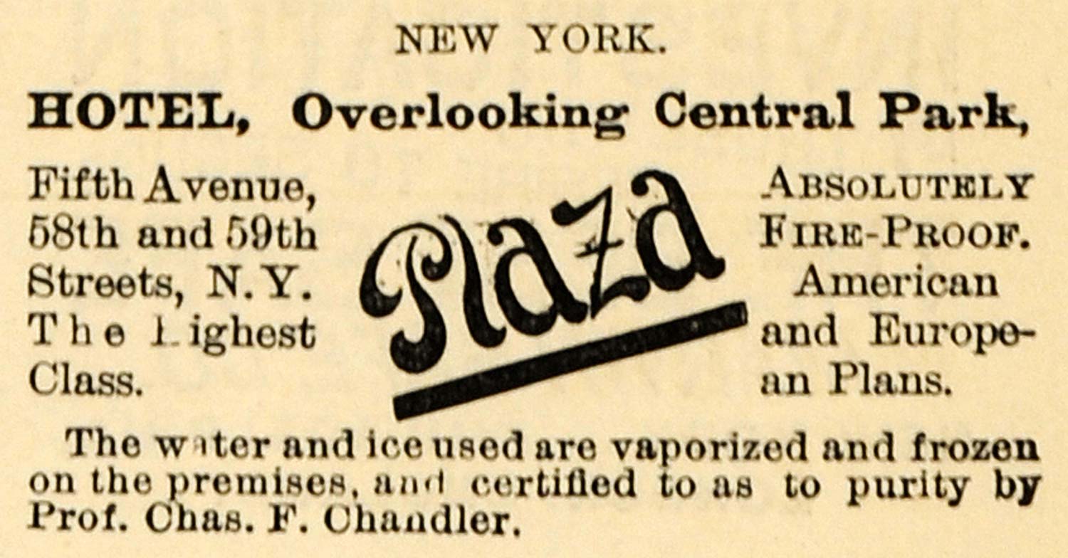 1891 Ad Plaza Hotel NY Central Park Chas. F. Chandler - ORIGINAL TFO1