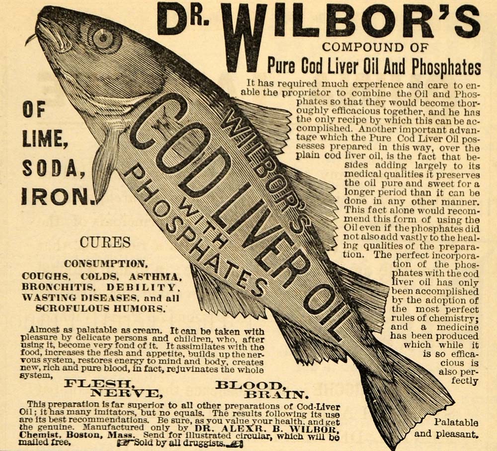 1891 Ad Dr. Wilbor's Cod Live Oil Phosphates Compound - ORIGINAL TFO1