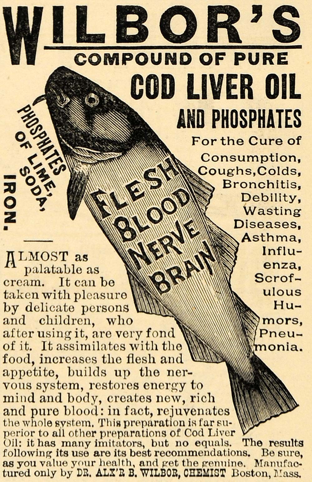1891 Ad Cod Liver Oil Compound Dr. Alexander B. Wilbor - ORIGINAL TFO1