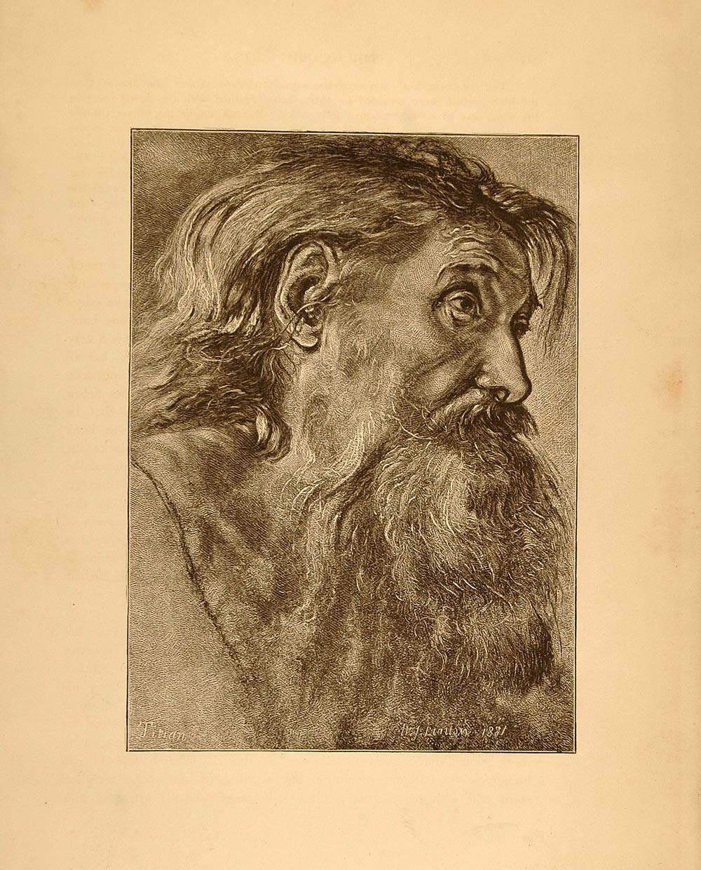 1882 Lithograph Portrait Man Head Beard Titian Woodcut - ORIGINAL TGA1