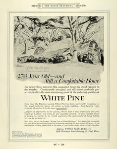 1915 Ad White Pine Wood Fairbank House Dedham Mass - ORIGINAL ADVERTISING THB1