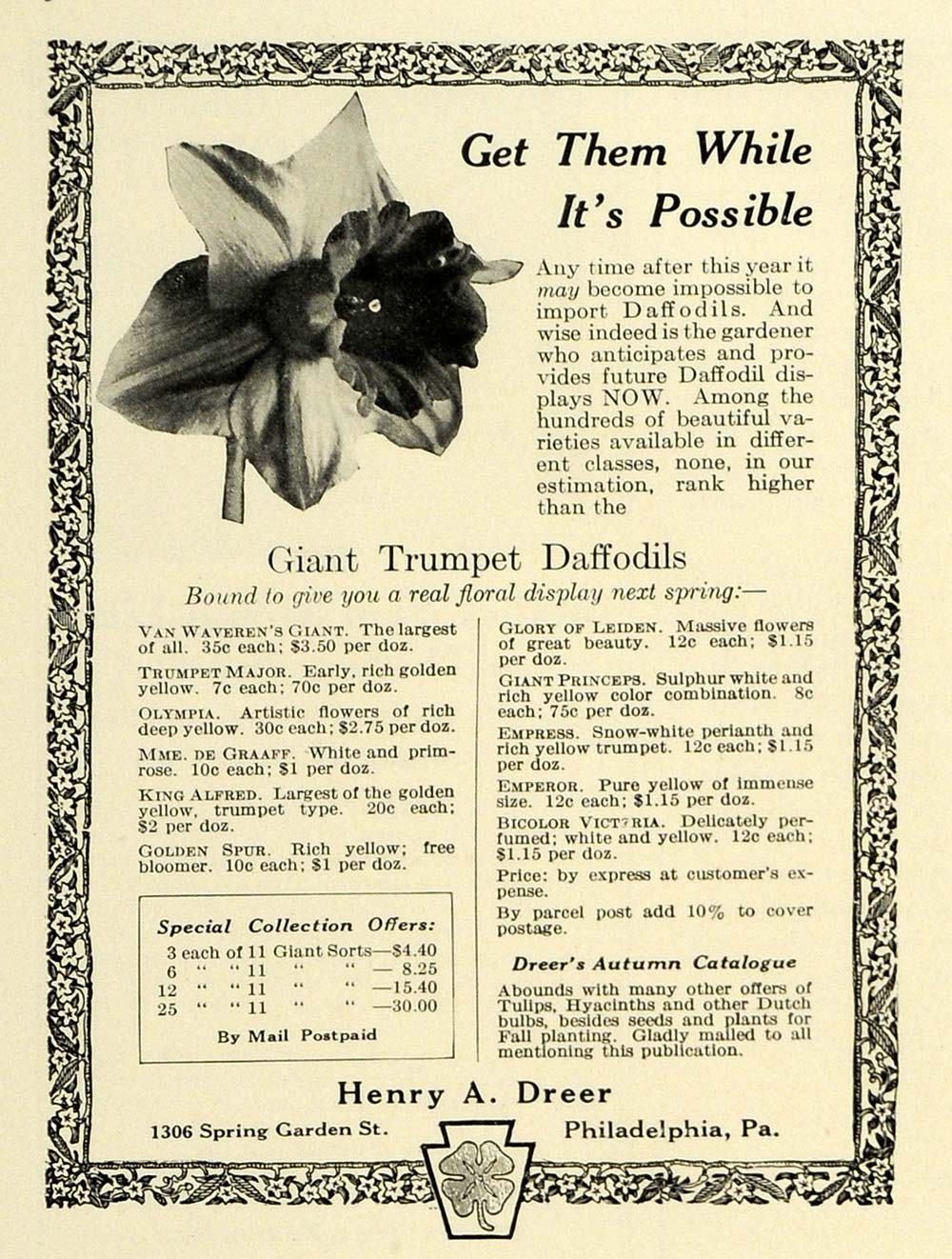 1924 Ad Henry A. Dreer Trumpet Daffodil Flower Seeds - ORIGINAL ADVERTISING THB1
