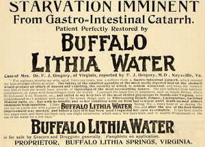 1898 Ad Buffalo Lithia Water Gastrointestinal Catarrh - ORIGINAL TIN4
