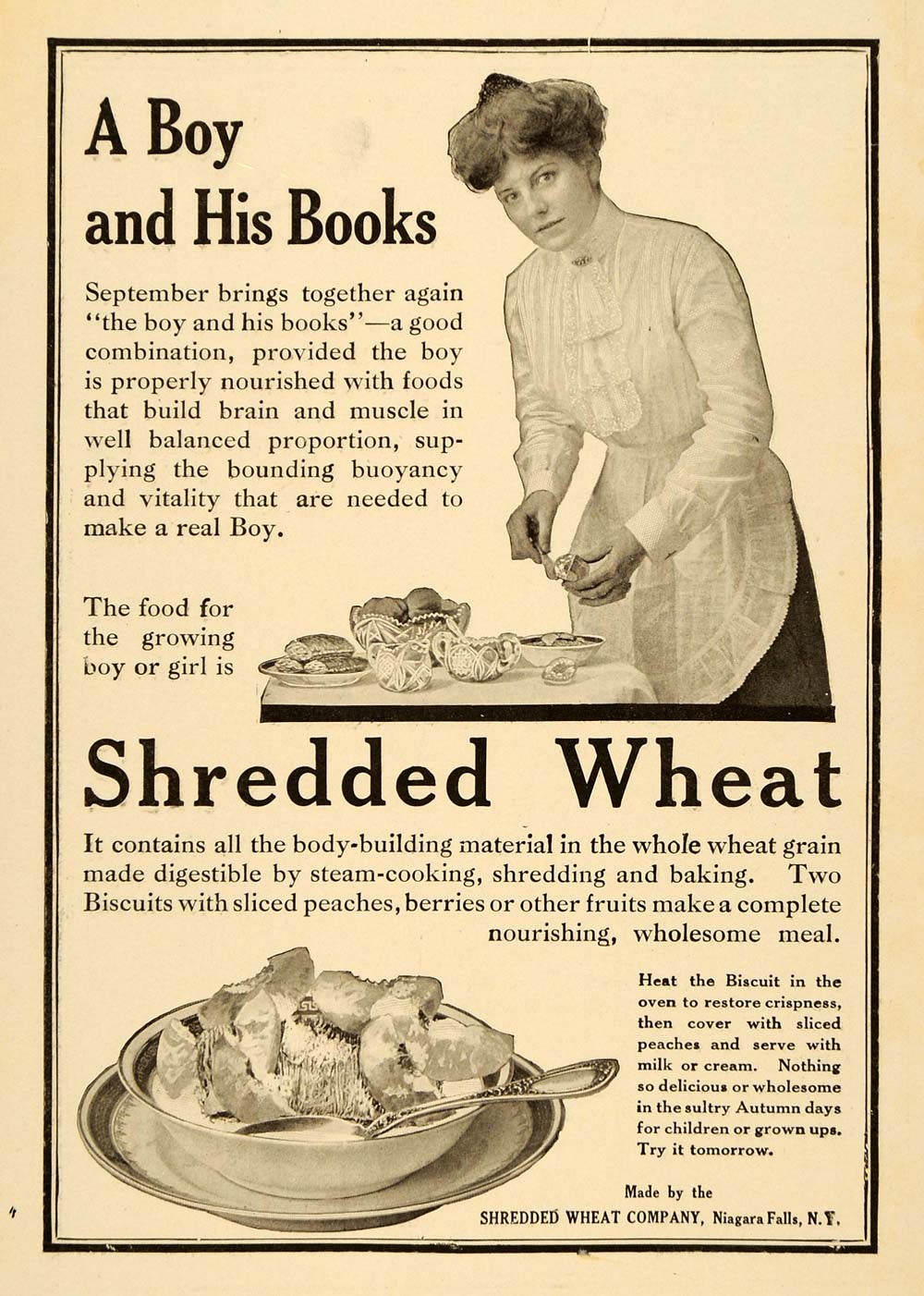 1910 Ad Shredded Wheat Co. Baking Products Housewife - ORIGINAL ADVERTISING TIN4