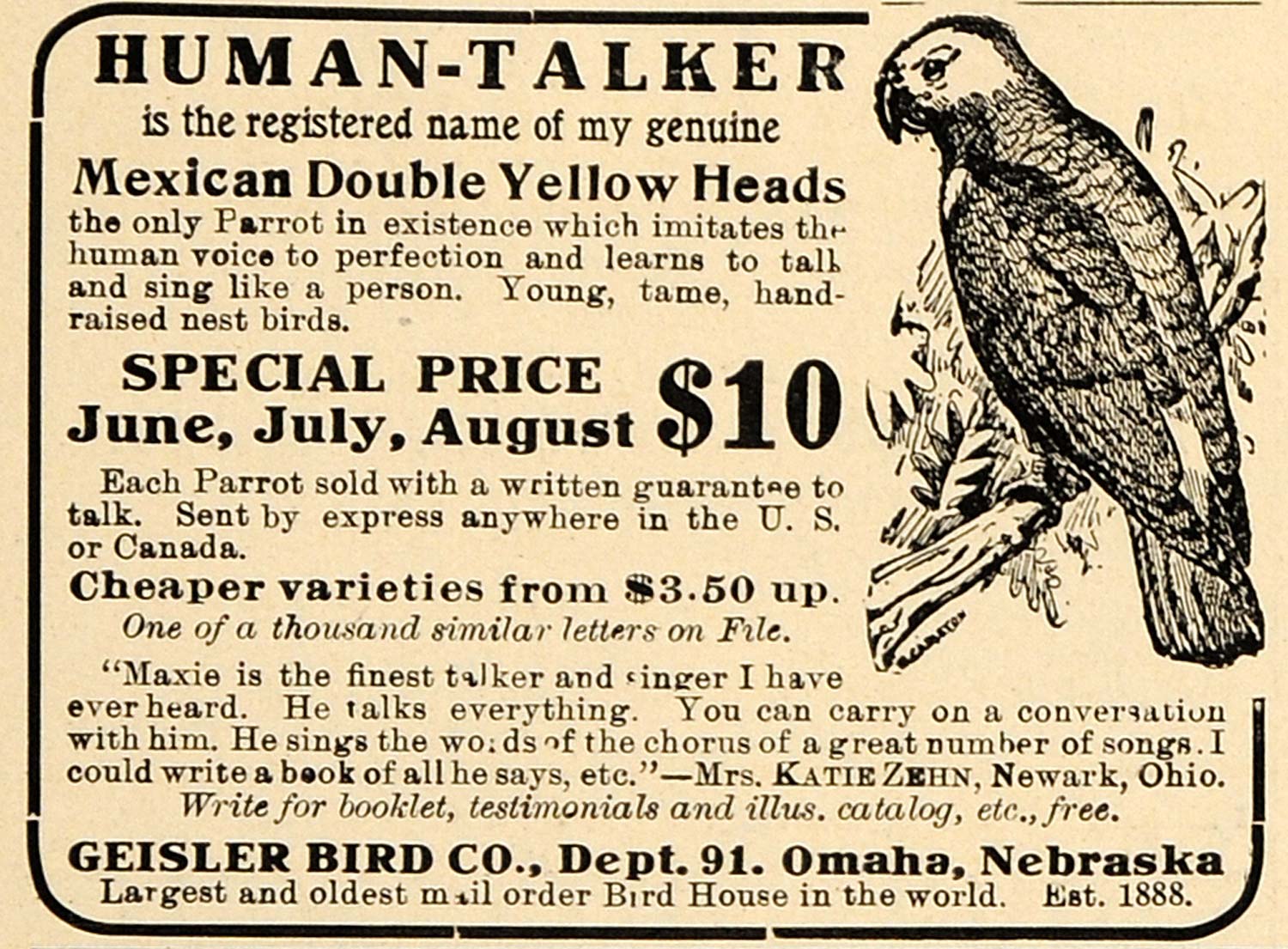 1907 Ad Geisler Mexican Double Yellow Head Parrot Birds - ORIGINAL TIN4