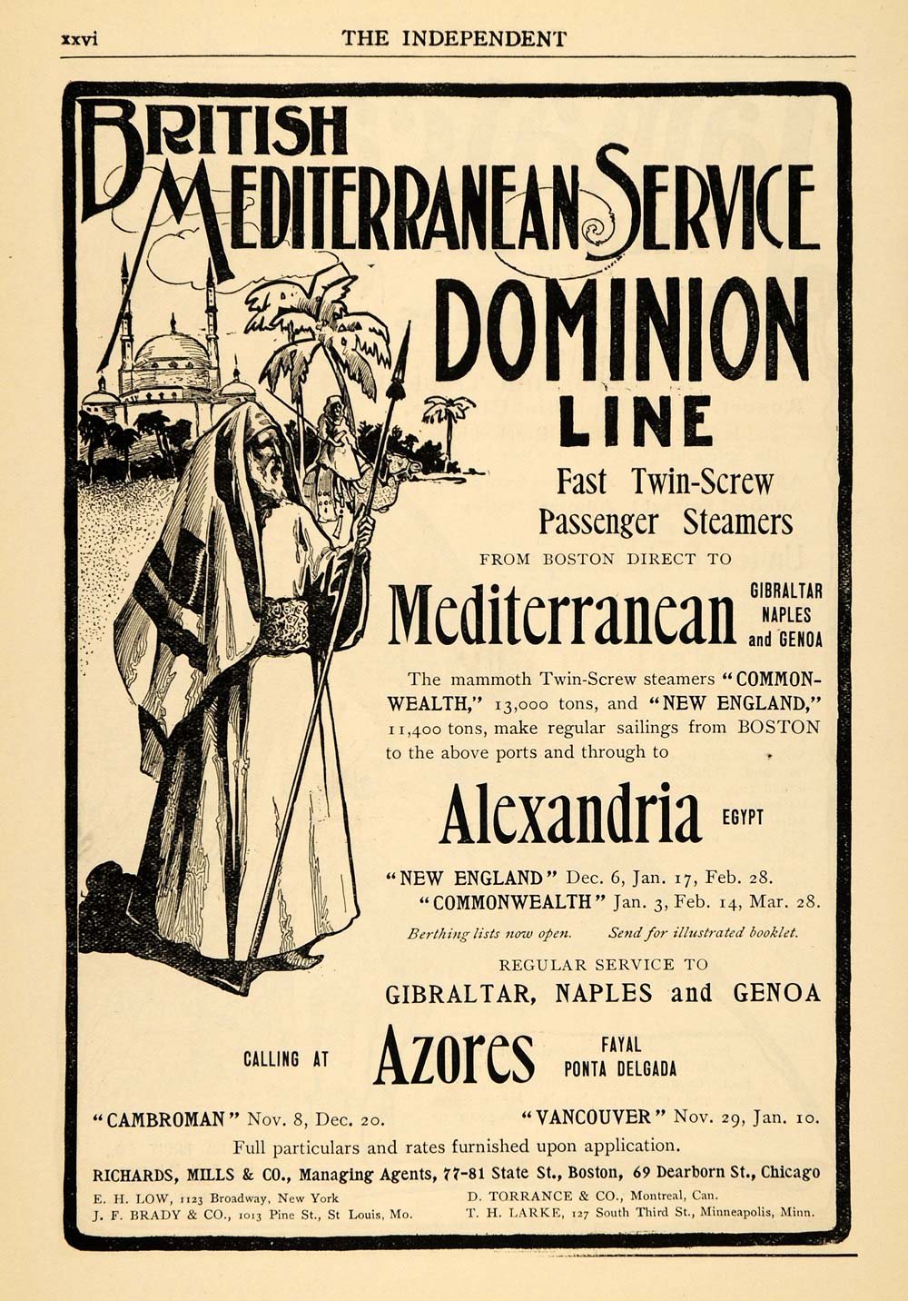 1902 Ad British Mediterranean Dominion Line Steamers - ORIGINAL ADVERTISING TIN4