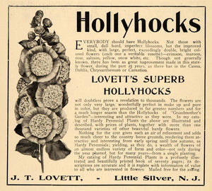 1907 Ad J. T. Lovett Hollyhocks Plants Flowers Garden - ORIGINAL TIN4