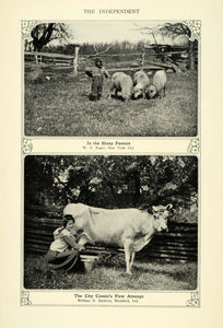 1906 Print Kid Playing Sheep Pasture Woman Milking Cow ORIGINAL HISTORIC TIN6
