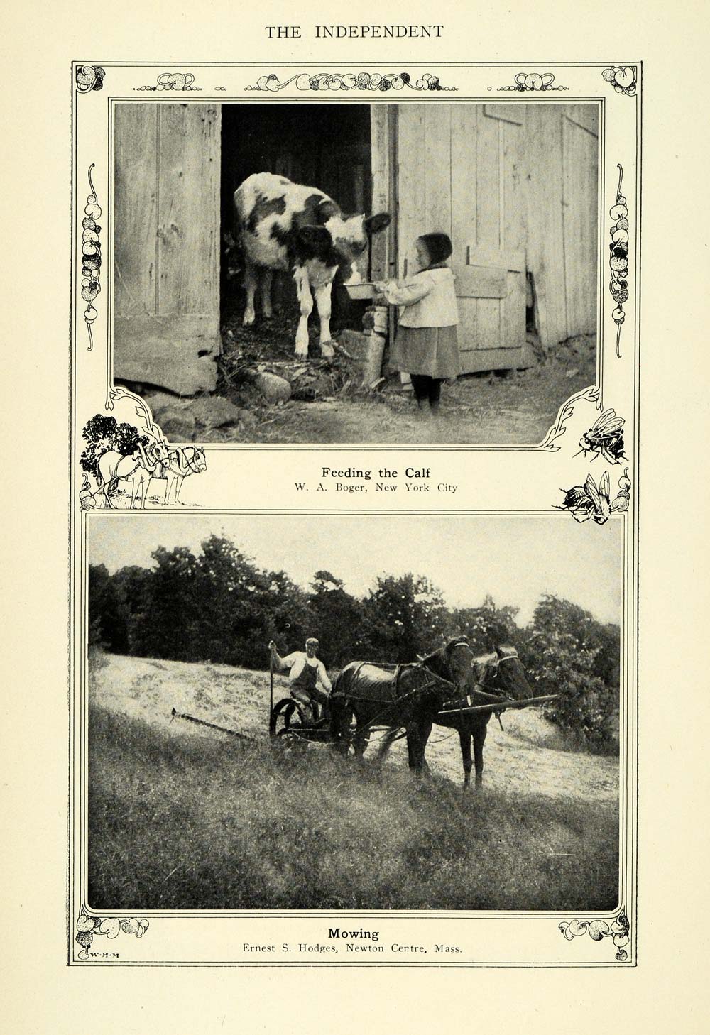 1906 Print Kid Feeding a Calf & Horse Mower - ORIGINAL HISTORIC IMAGE TIN6