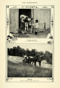 1906 Print Kid Feeding a Calf & Horse Mower - ORIGINAL HISTORIC IMAGE TIN6