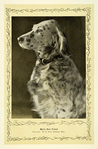 1910 Print Man's Best Friend Adorable Dog W H Stone MA - ORIGINAL TIN6