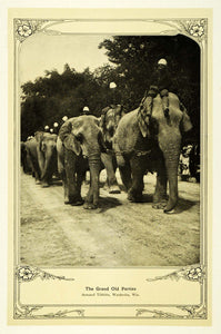 1910 Print Domesticated African Elephants A Tibbitts WI - ORIGINAL TIN6