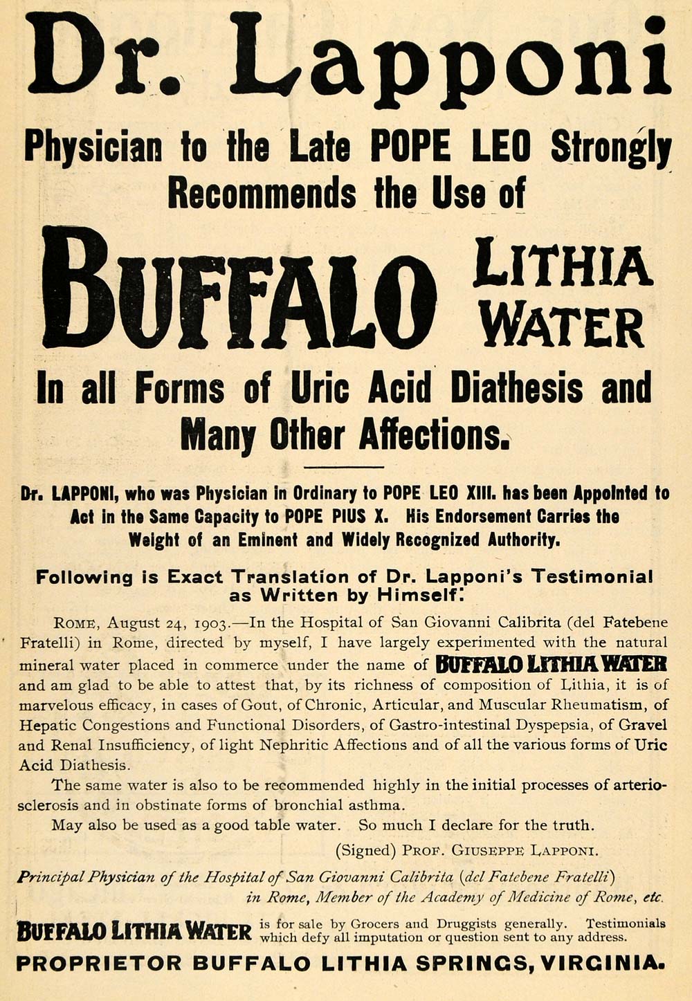 1903 Ad Dr Lapponi Pope Leo XIII Buffalo Lithia Water - ORIGINAL TOM1