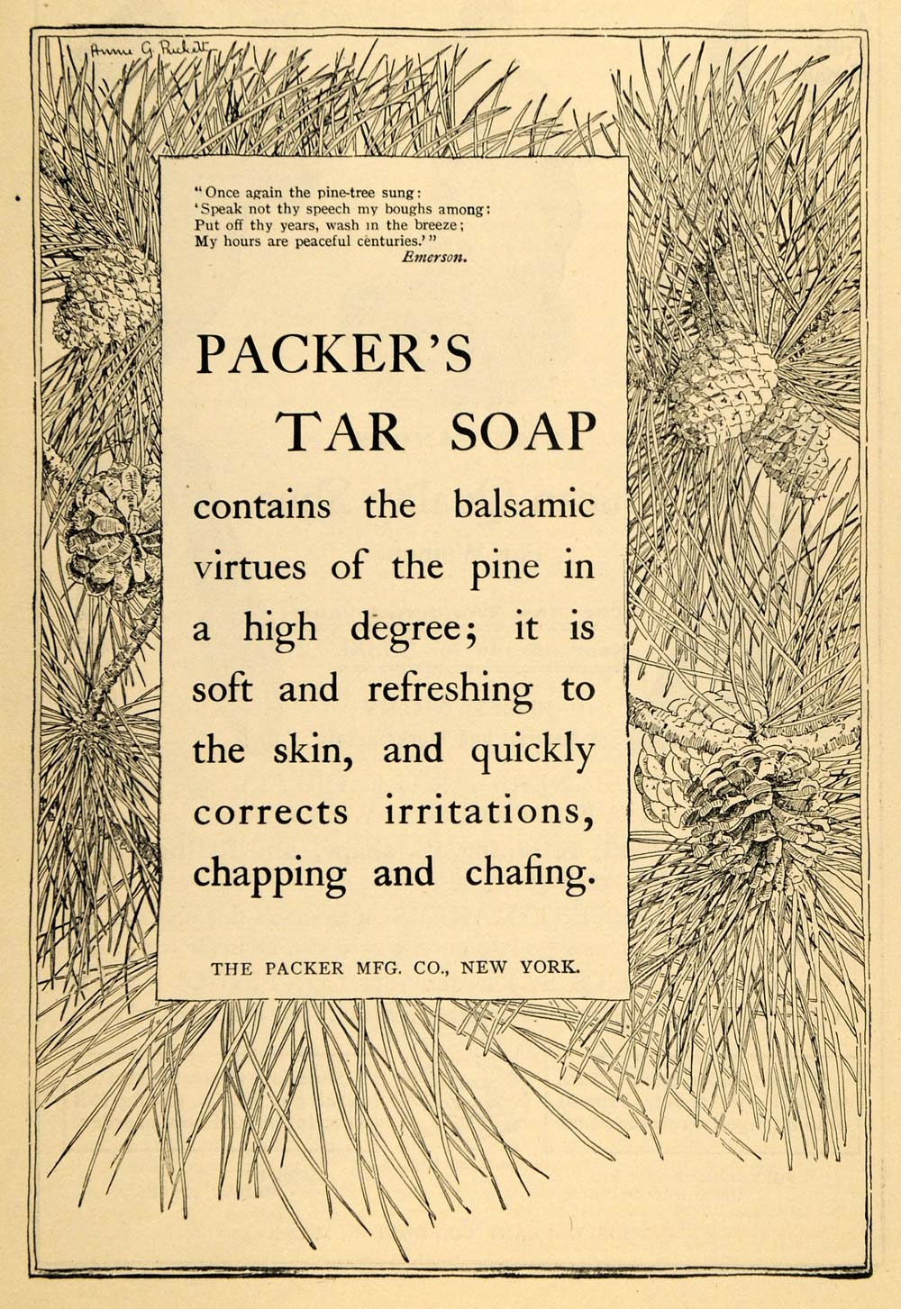 1898 Ad Pine Tree Cones Packer Manufacturing Tar Soap - ORIGINAL TOM3