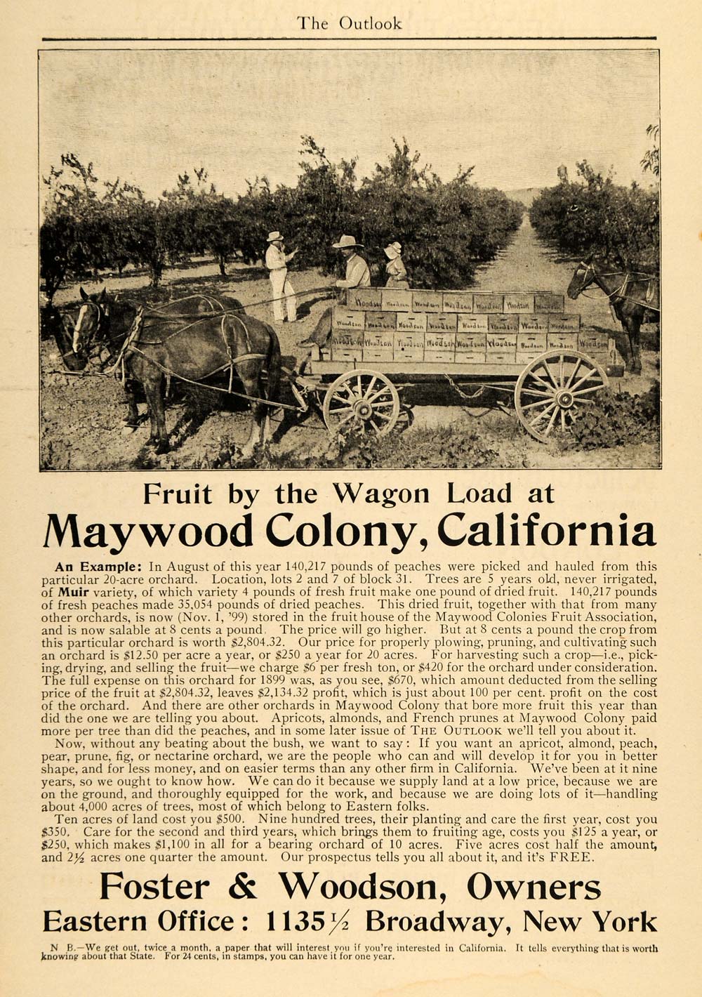 1900 Ad Foster & Woodson Land Acres Farming California - ORIGINAL TOM3