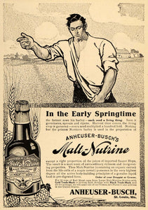 1908 Ad Malt Nutrine Anheuser-Busch Farmer Hops Barley - ORIGINAL TOM3