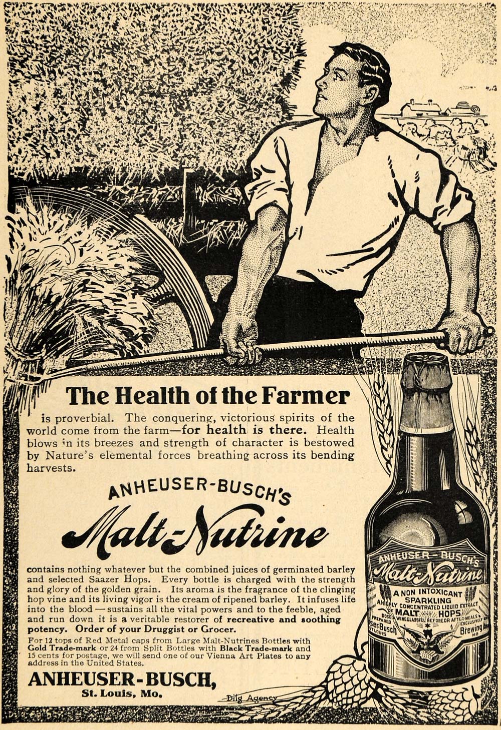1909 Ad Anheuser-Busch's Malt-Nutrine Farm Malt Hops - ORIGINAL ADVERTISING TOM3