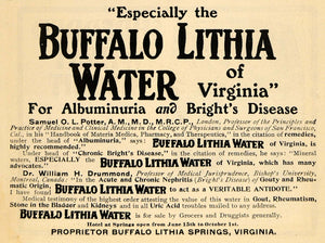 1902 Ad Buffalo Lithia Springs Water of Virginia Drink - ORIGINAL TOM3