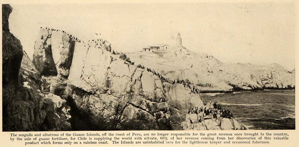 1918 Print Guano Islands Peru Albatross Bird Lighthouse ORIGINAL HISTORIC TRV1