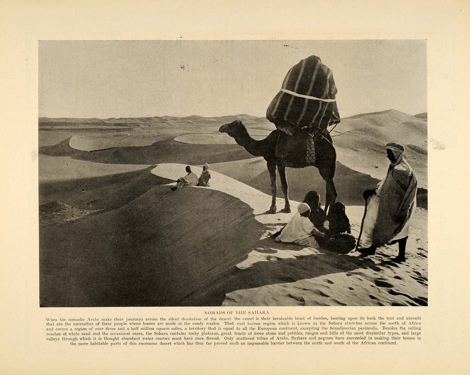 1921 Print Sahara Nomads Desert Camel Plateau Animal - ORIGINAL HISTORIC TRV1 - Period Paper
