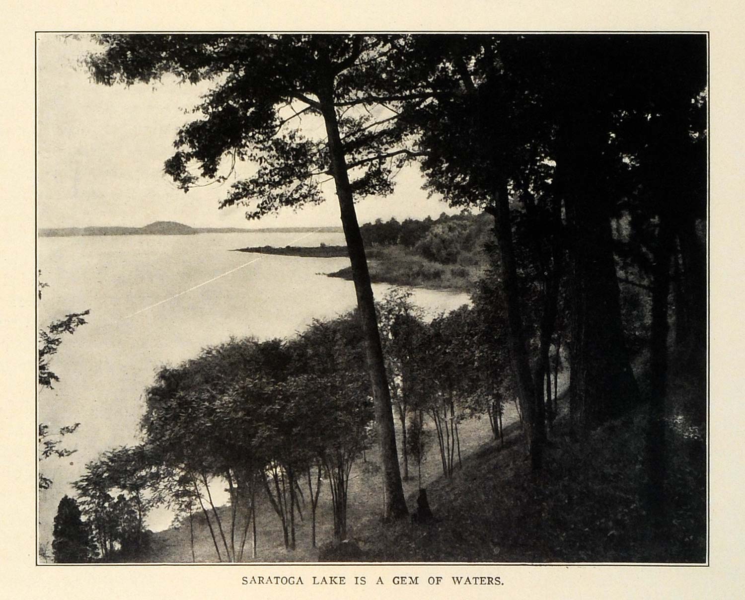 1909 Print Saratoga Lake Southeast Side Saratoga Spring City New York Trees TRV1