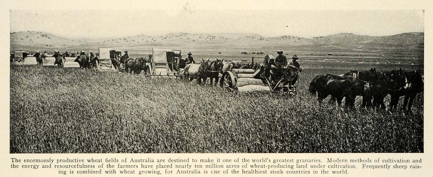 1927 Print Australia Wheat Field Granary Cultivation Method Farming TRV1