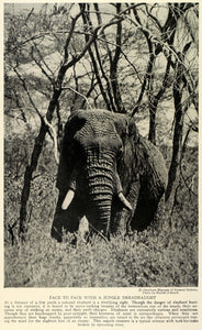 1928 Print Jungle Dreadnaught Elephant Tusks Broken Martin Johnson TRV1