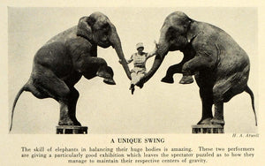 1932 Print Circus Elephants Performance Balance Routine Show Performing TRV2