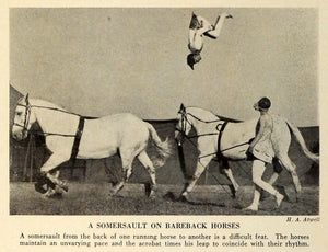 1932 Print Traditional Circus Show Acrobat Somersault Trained Horses TRV2