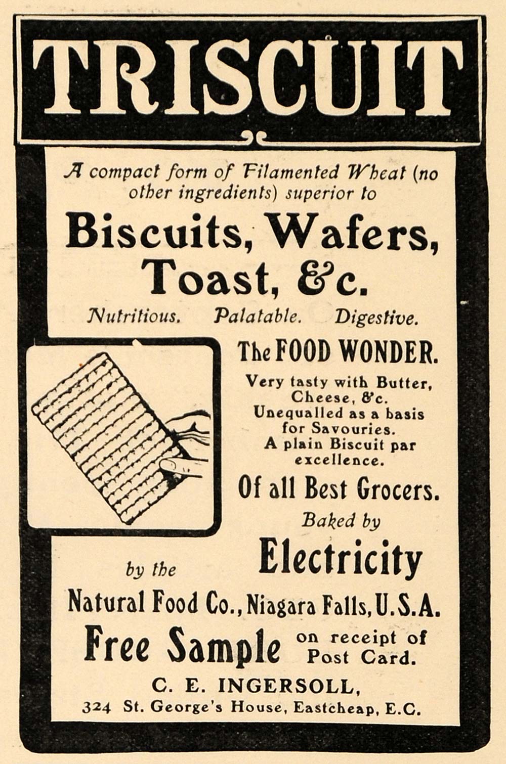 1903 Ad Natural Food Co. Triscuit Cracker C E Ingersoll - ORIGINAL TSM2